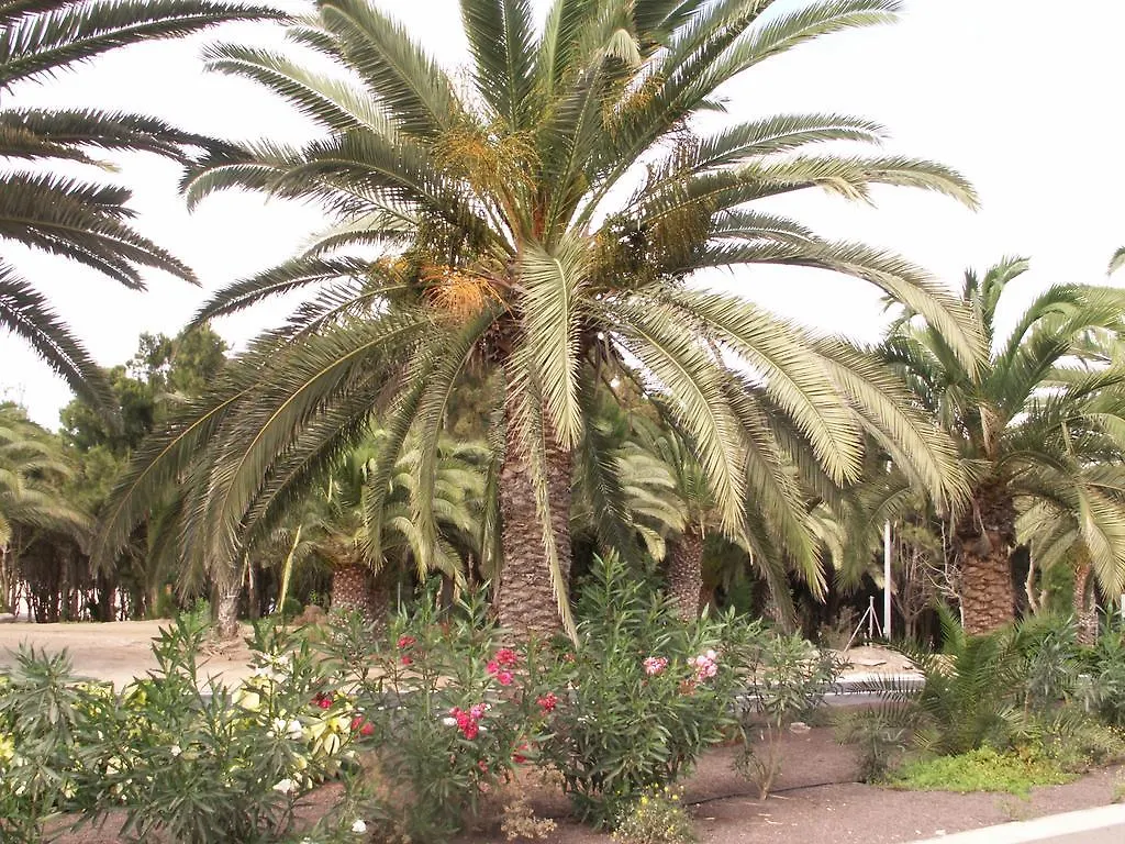 Apartment Casavovo Costa Calma